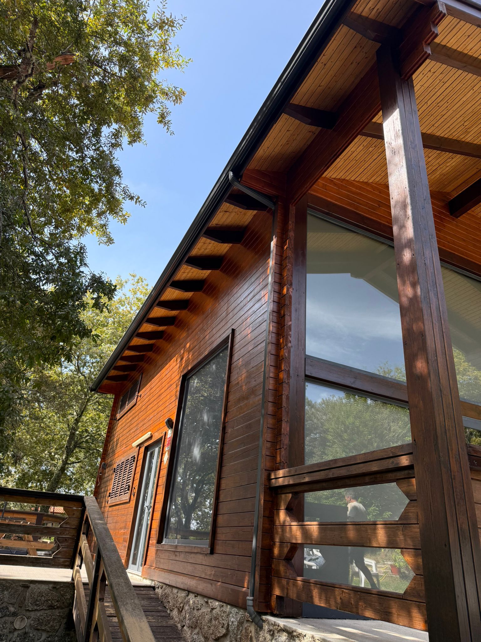 cd225ee3-ab01-4066-8d19-ea6c1d4c5d99